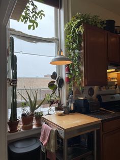 an open kitchen window with potted plants on the counter