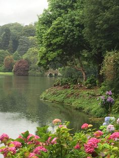 a lake surrounded by lush green trees and pink flowers in the foreground, with lots of greenery on either side