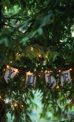 a sign hanging from the branches of a tree with lights on it that says kulte