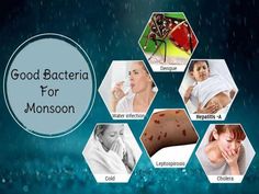 Good Bacteria For Monsoon - Download as a PDF or view online for free Workplace Safety Tips, What Is Water, Workplace Safety, Disease Prevention, Rainy Season, Health Articles, Health Check, Safety Tips