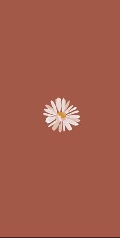 a white flower on a brown background