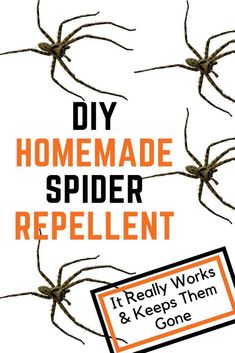 the cover of diy homemade spider repellent it really works and keeps them gone