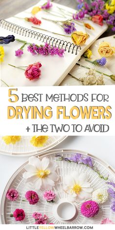 the top five best method for drying flowers and how to avoid them