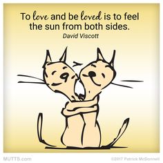 two cats hugging each other with a quote about love and being loved is to feel the sun from both sides