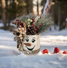 a christmas decoration in the snow with pine cones and berries