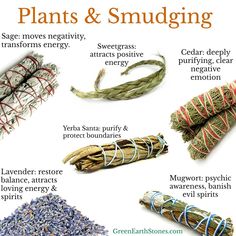 some types of plants and smudges are shown in this poster with caption