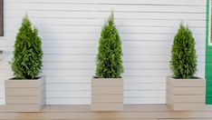 three planters are lined up against a white wall with green trimmings on them