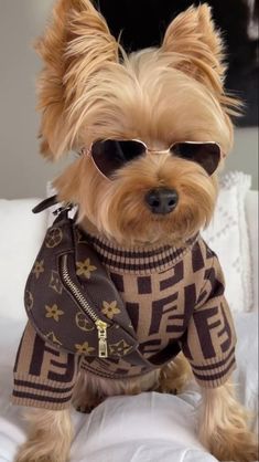 a small dog wearing sunglasses on top of a bed