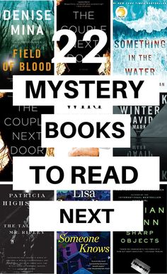 several books with the title 22 mystery books to read next