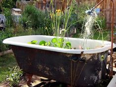 an old bathtub filled with plants and water pouring out of the faucet