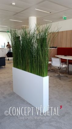 a planter filled with green grass sitting in an office lobby next to a table