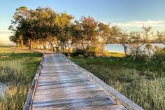 a wooden walkway leads to the water and trees