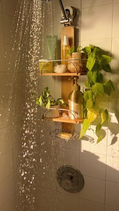 a shower head with water running from it and plants growing out of the faucet