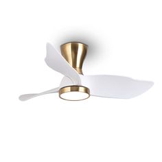 PRICES MAY VARY. This flush mountceiling fan is equipped with a powerful DC motor. The low cost reversible brushless DC motor can generate 6 different wind speed. Furthermore, the silicon steel DC motor will make no noise at any time. reiga's remote control with governing speed, reverse feature,1/3/8 timing function, setting the timer function when you go to sleep and no worried about you will feel too cool at night. Dimmable LED Light: The light and fan can be controlled separately. It includes Small Ceiling Fan With Light, Steel Dc, Small Ceiling Fan, Alexa App, Modern Flush Mount, Flush Mount Ceiling Fan, Dimmable Led Lights, Fan With Light, Modern Ceiling Fan