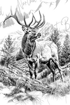 a black and white drawing of an elk standing in the grass with mountains in the background