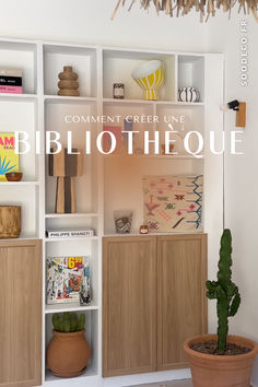 a white book shelf filled with books next to a potted cacti plant