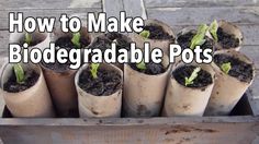 a box filled with lots of plants sitting on top of a wooden floor covered in dirt