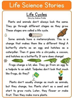 the life cycle worksheet for kids to learn about plants and animals in science