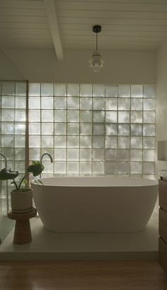 a bathroom with a large bathtub next to a plant