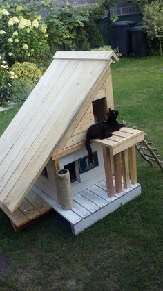 a black cat laying on top of a wooden dog house