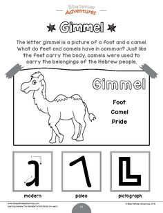 the letter g is for camel worksheet