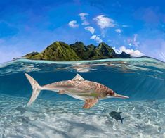 a painting of a shark swimming in the ocean with a small island in the background