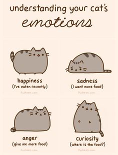 the cat's emotions in different ways