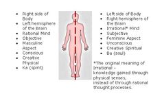 right side, left side body What Organs Are On Your Left Side, Left Side Of Body Meaning, Left Vs Right Hand Spiritual Meaning, Universe And Human Body Similarities, If We Could See Souls Instead Of Bodies, Body Soul Spirit Diagram, Right Side Of Body Spiritual Meaning, Hormonal Changes, Inner Child Healing