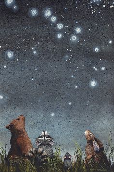 two bears looking up at the night sky with stars in the sky above them and grass below