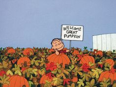 a cartoon character holding a sign in the middle of a field full of pumpkins