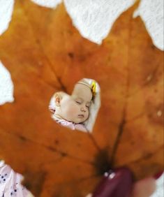 a baby sleeping on top of a large leaf