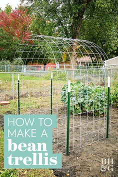 an outdoor garden with plants growing in it and the words how to make a bean trellis