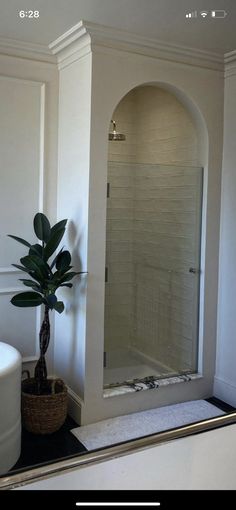 a bath room with a plant and a mirror on the wall next to a tub