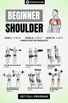 the beginner shoulder workout guide