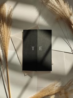 a black box with the letter t on it sitting next to some dried plants and paper