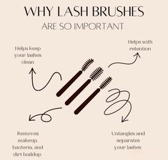 Lash tip ✨ Lash Tech Ig Post, Lash Artist Must Haves, Lash Information, Lash Tech Goodie Bags, Reasons To Get Lash Extensions, Lash Page Ideas, Lash Extensions Content Ideas, Lash Instagram Story Ideas, Content Ideas For Lash Techs