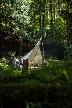 a tent pitched up in the middle of a forest