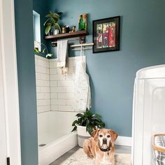 a dog is sitting on the bathroom floor