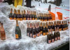 many bottles of champagne are on display in the snow