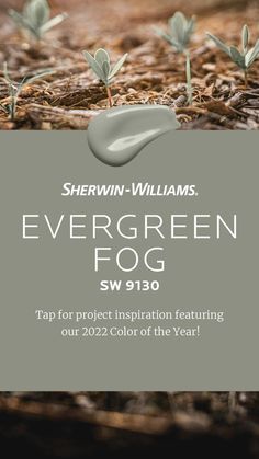 the evergreen fog logo is shown in front of an image of some plants