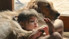 Children with Big Dogs Wallpapers Love My Dog, Dogs And Kids, Golden Retrievers, Sweet Animals, 귀여운 동물, Mans Best Friend, Animals Friends, I Love Dogs, Dog Life