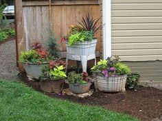 several potted plants sitting in front of a wooden fence on the side of a house