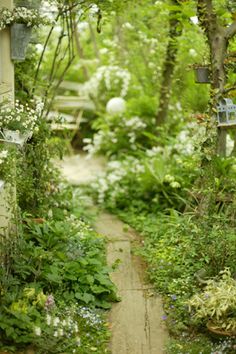 a garden with lots of flowers and trees