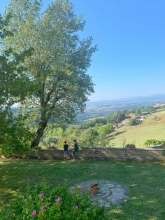 two people sitting under a tree on top of a lush green hillside next to a stone fire pit