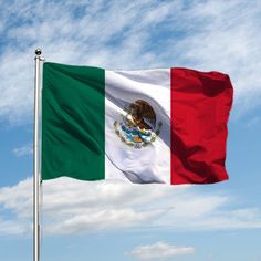 Generic Mexico National flag Pictures Of Flags, Ig Notes, Flag Of Mexico, Mexico Pictures, Flag Hanging, Flag Tattoo, Mexican Home Decor, Mexican Flag, Mexican Flags