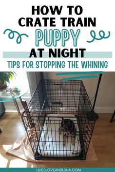 a dog in a cage with the words how to crate train puppy at night tips for stopping the whinening