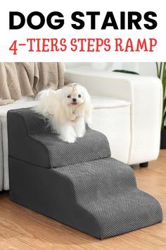 a small white dog sitting on top of a step ramp in front of a couch