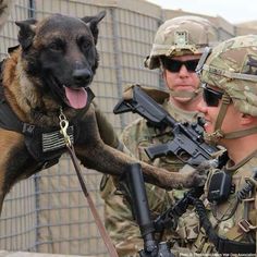 MILITARY WAR DOGS ARE SPECIAL Hope you're doing well.From your friends at phoenix dog in home dog training"k9katelynn" see more about Scottsdale dog training at k9katelynn.com! Pinterest with over 20,400 followers! Google plus with over 143,000 views! You tube with over 500 videos and 60,000 views!! LinkedIn over 9,200 associates! Proudly Serving the valley for 11 plus years! Military Service Dogs, Marines Corps, Dog Hero, Military Working Dogs, Police K9, Seal Team, Military Dogs, Police Dogs, Belgian Malinois