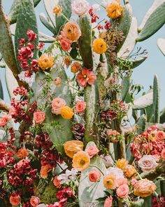 an arrangement of flowers and cactus plants in the desert