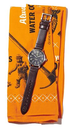 Smokey Bear: Fashion’s Latest Style Icon Watch Collection, Style Icon, Outdoor Gear, Latest Fashion